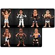 UFC Ultimate Collector Series 10 Revision 2 Figure Case